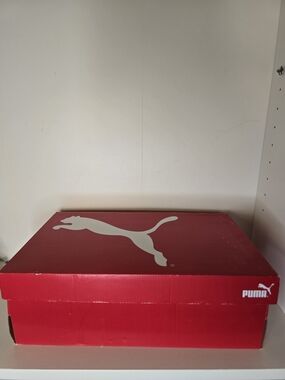 Puma White and Light Gray Sneaker Interior with Size 13